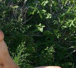 Валька — фото 5