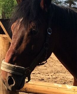 Василий Иванов